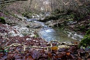 19 Il torrente forma belle cascatelle e pozze